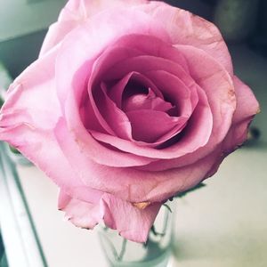 Meet your Posher, Becca